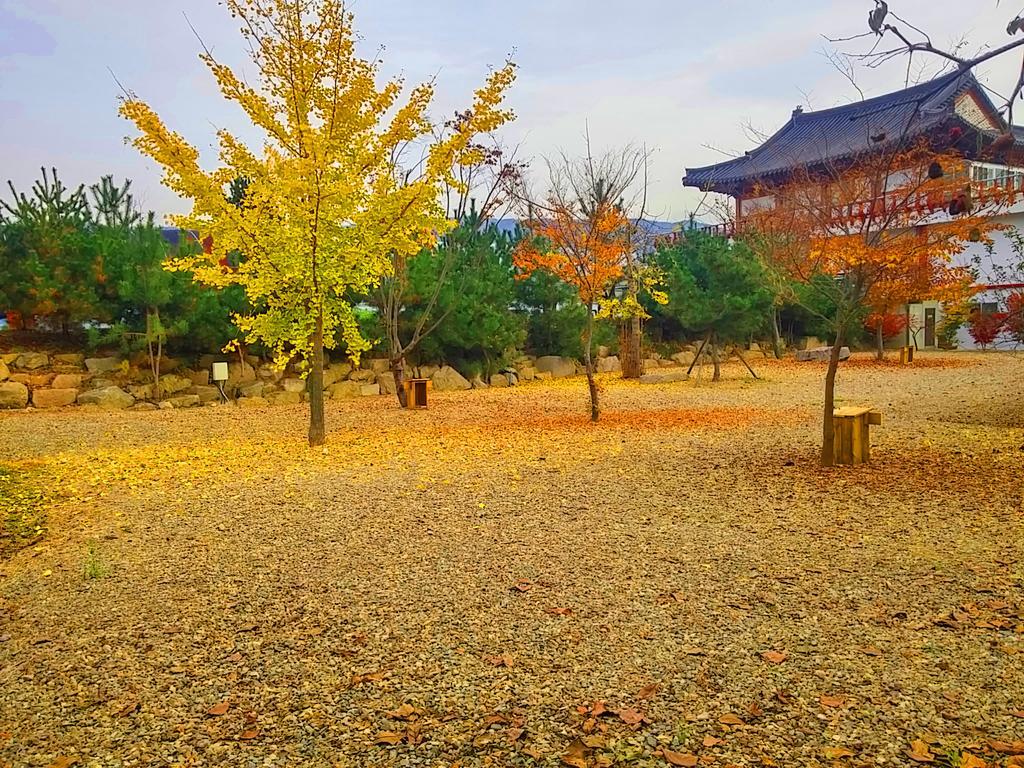 Chowoo Guesthouse Gyeongju Bagian luar foto